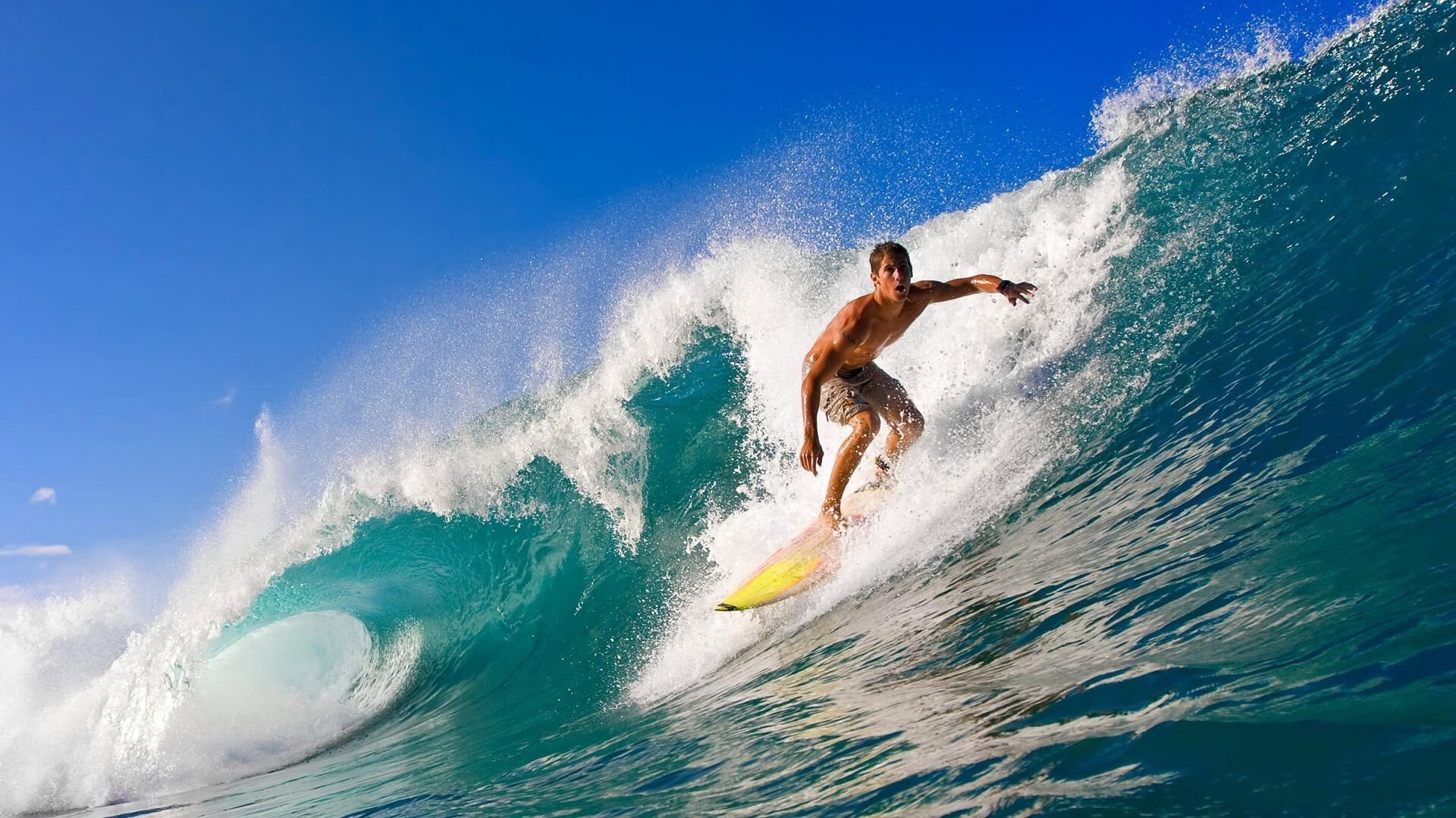鏖战东南，王哲林独揽乾坤—福建江苏激战记