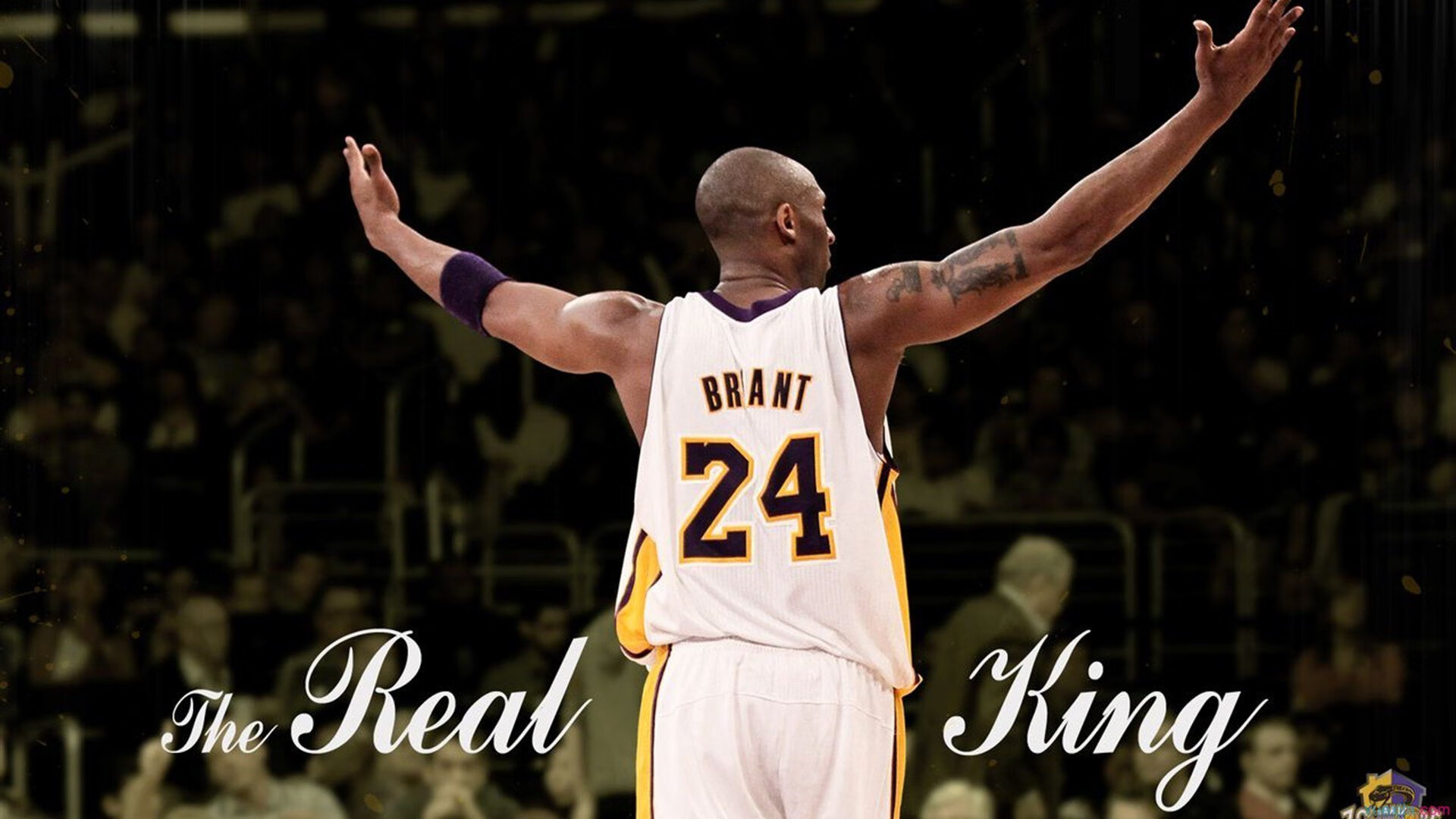 北欧冰原上的孤勇者，芬兰单节拉开挪威，加维扛起全队的冰球史诗